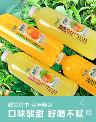 探索網紅果汁風潮 橙汁、西柚、白桃、哈密瓜混合果飲的批發新機遇